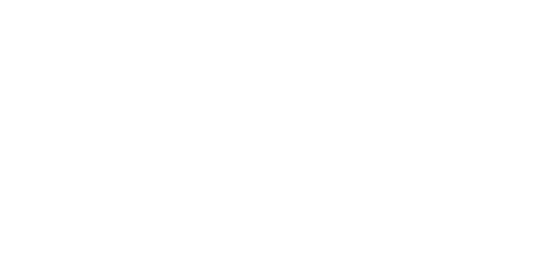 PANA Sapanca Logo
